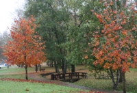 Stream Restoration at Raleigh Park